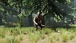 The Forest Mutants