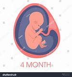 The Fourth Month
