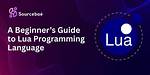 The Lua Programming Language Beginner’s Guide