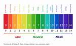 The Ph Scale Measures