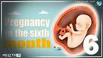 The Sixth Month