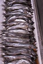 Thin Slippery Fish
