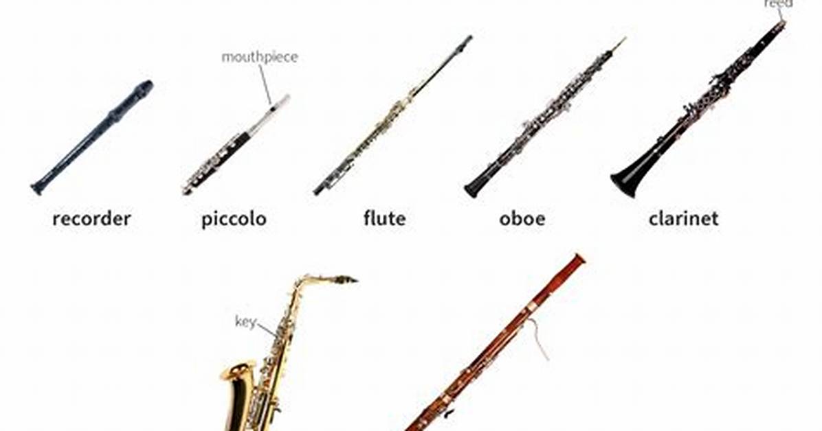 Thin Woodwind