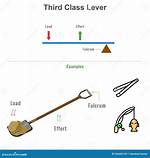 Third Class Lever