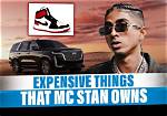 Thomas Stan Net Worth