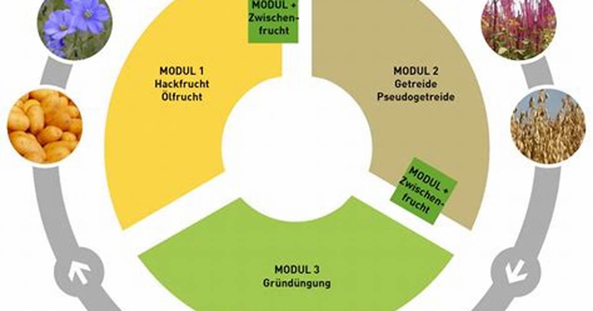 Three Field System
