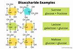 Three Important Disaccharides Are ________.