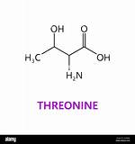 Threonine Structure