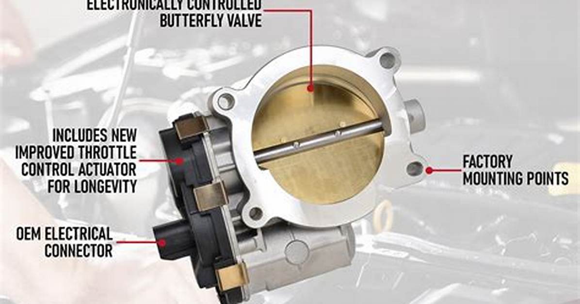 Throttle Actuator Control Module