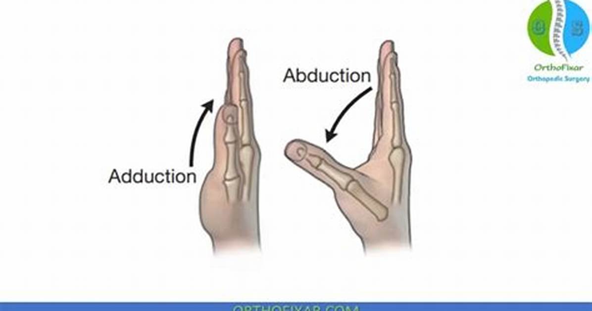 Thumb Abduction