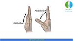Thumb Abduction