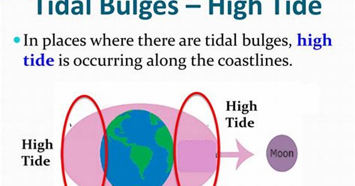 Tidal Bulges