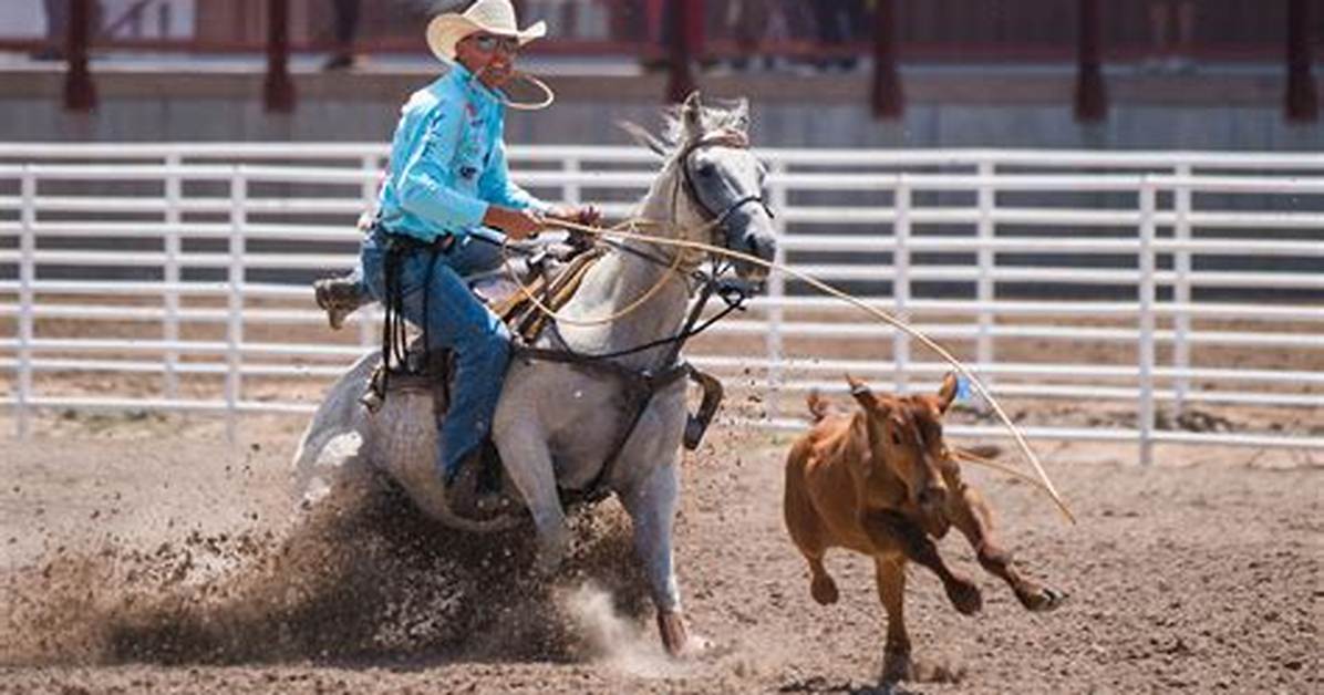 Tie Down Roping