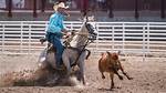 Tie Down Roping