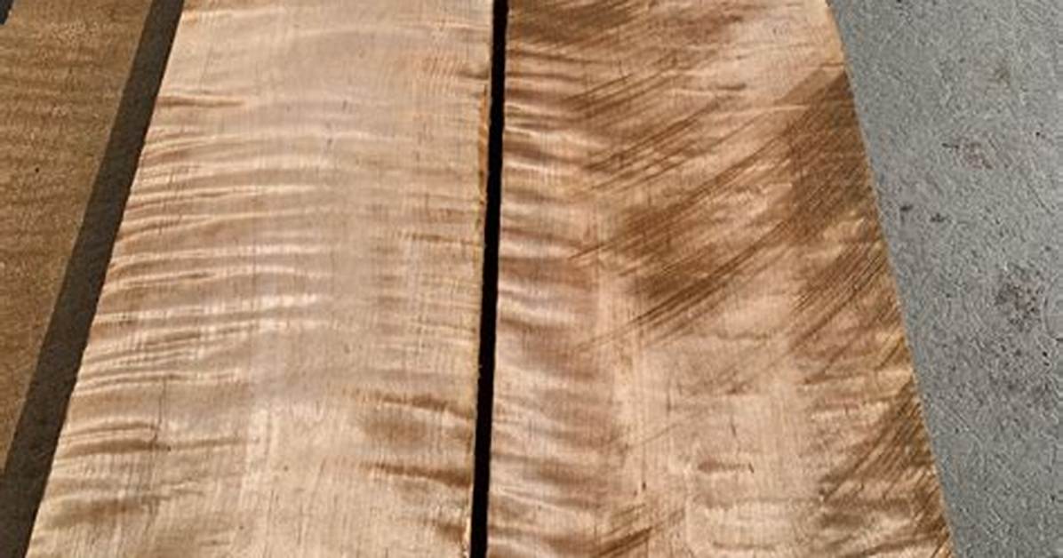 Tiger Maple