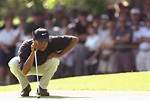 Tiger Woods