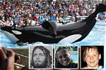 Tilikum Kills