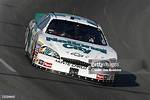 Tim Sauter