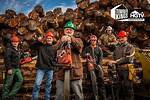 Timber Kings