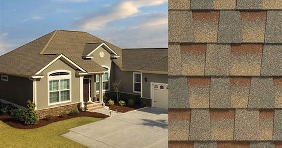 Timberline Shingles