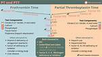 Time in Pt