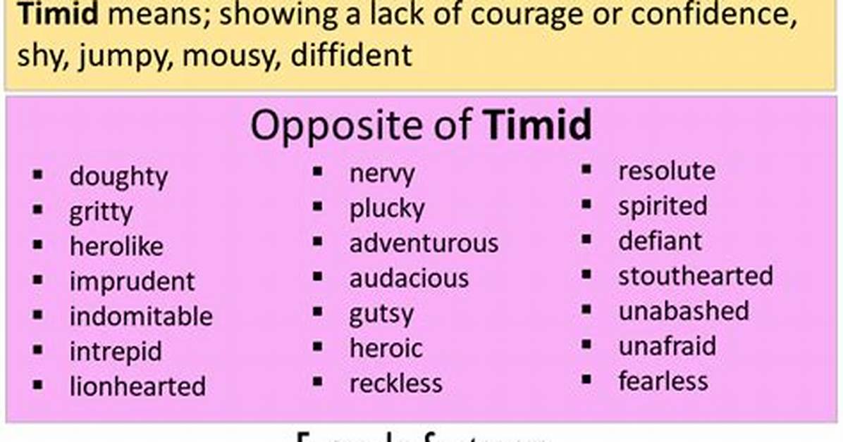 Timid Meaning