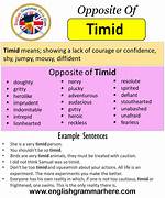 Timid Meaning