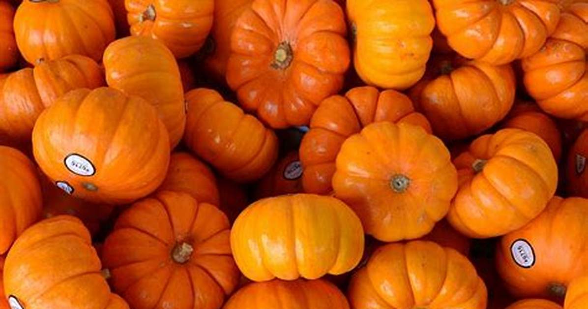 Tiny Pumpkins