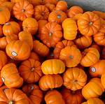 Tiny Pumpkins