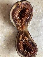 Tiny Thing Inside a Fig