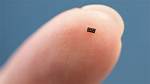 Tiny Thing to Pick?