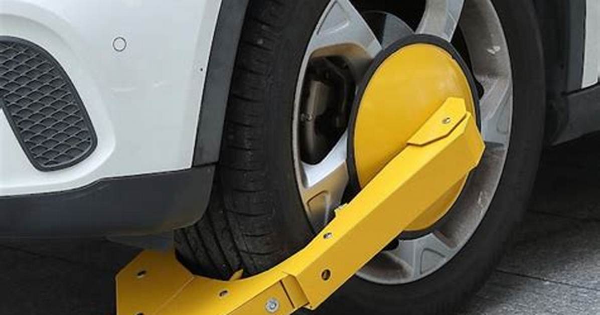 Tire Locks