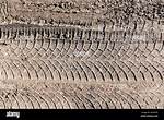 Tire Marks