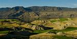Tobiano
