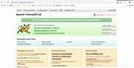 Tomcat: Java. Lang. Illegalargumentexception: Invalid Character Found in Method Name. Http Method Names Must Be Tokens