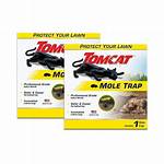 Tomcat Mole Trap