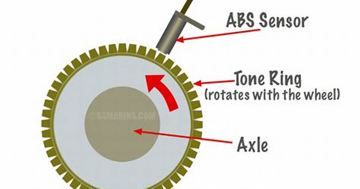 Tone Ring Abs