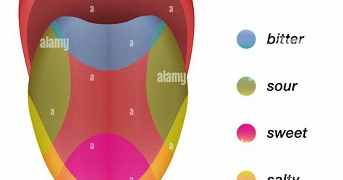 Tongue Map