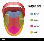 Tongue Map
