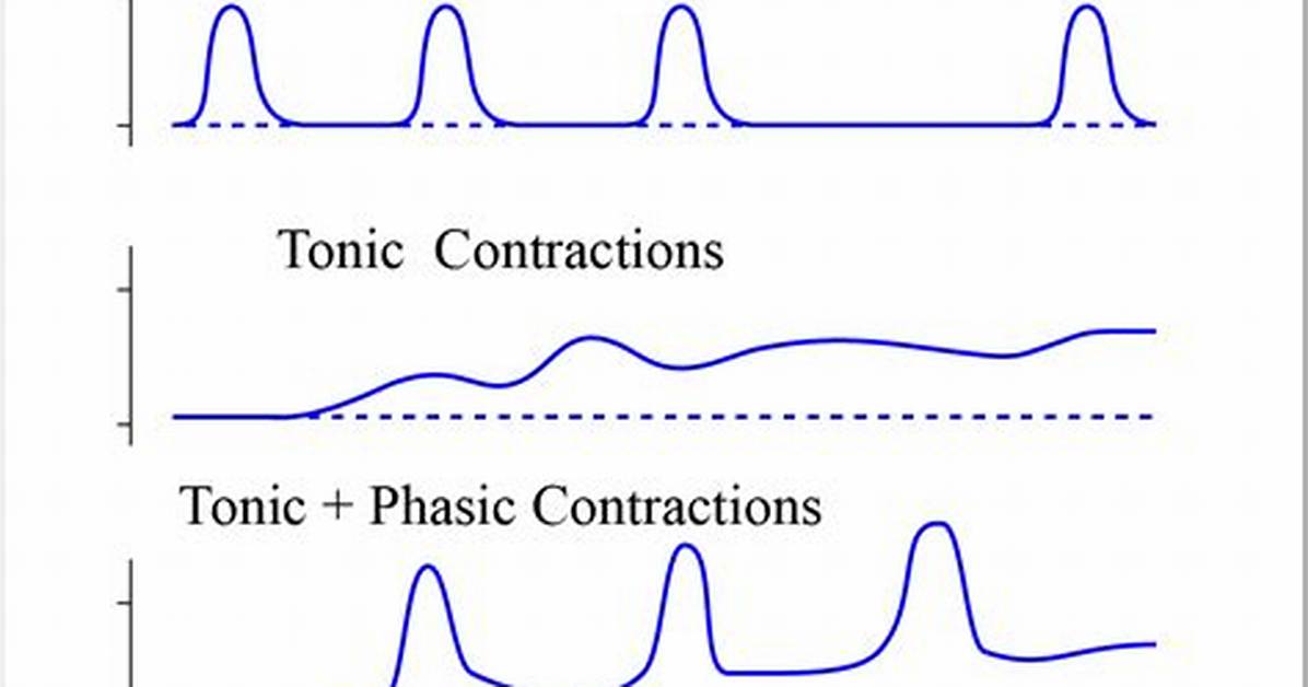Tonic Contraction