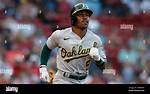 Tony Kemp