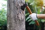 Tool for Chopping Down a Tree