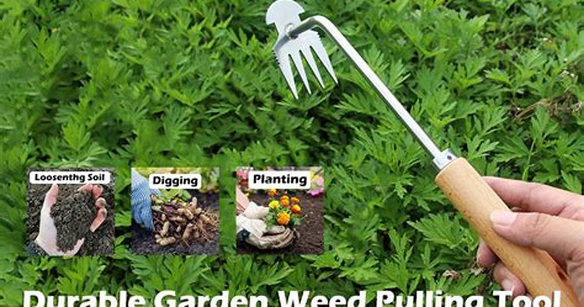 Tool for Weeding