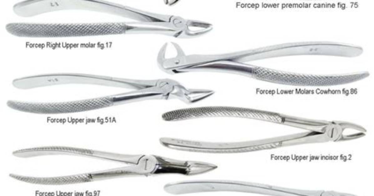 Toothed Tools