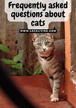 Top 7 Something Cats Do-Answers