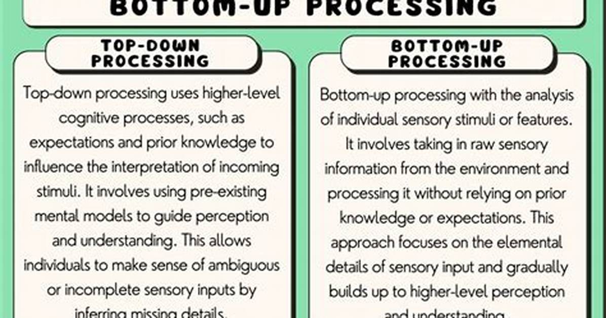 Top Down Processing Example