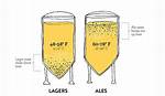 Top-Fermented Beer