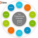 Top Programming Languages to Learn Today
