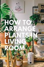 Top Tips for Arranging Indoor Plants