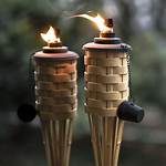 ___ Torch (Luau Light)